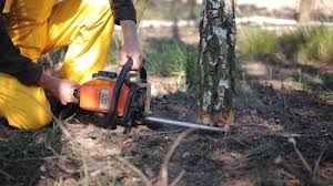 Lawn Irrigation Installation and Maintenance in Shanor Northvue, PA
